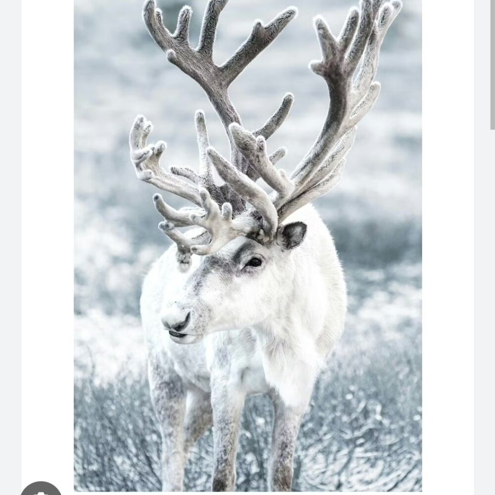 Meet your Posher, Hira